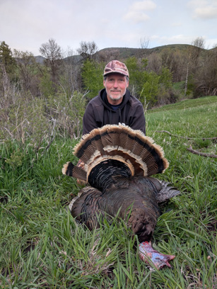 Identical, both had 8 ½ inch beard, ¾ inch spurs mature rio grande long-beard turkey