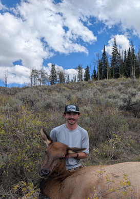 i went hunting cow elk