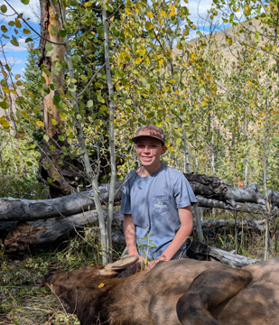 with cow elk