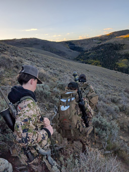 cow elk hunting