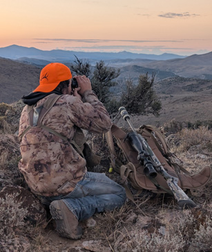 glassing for mule deer