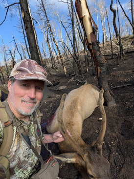 Decent sized spike spike elk in the velvet