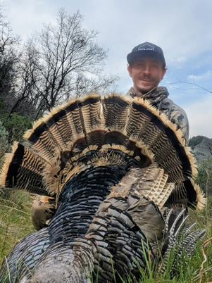 general season turkey